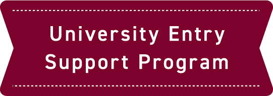 University Entry Support Program